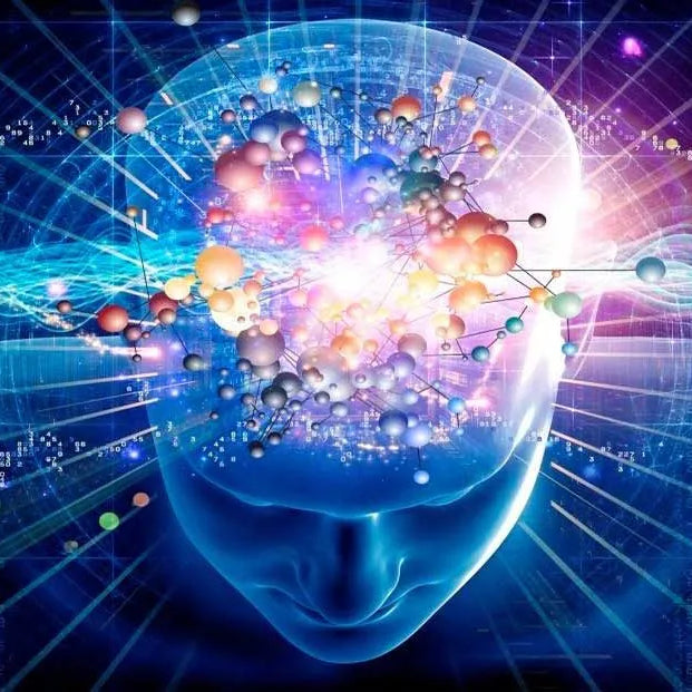 Nootropics That Work: The Real Science Behind Boosting Brain Power