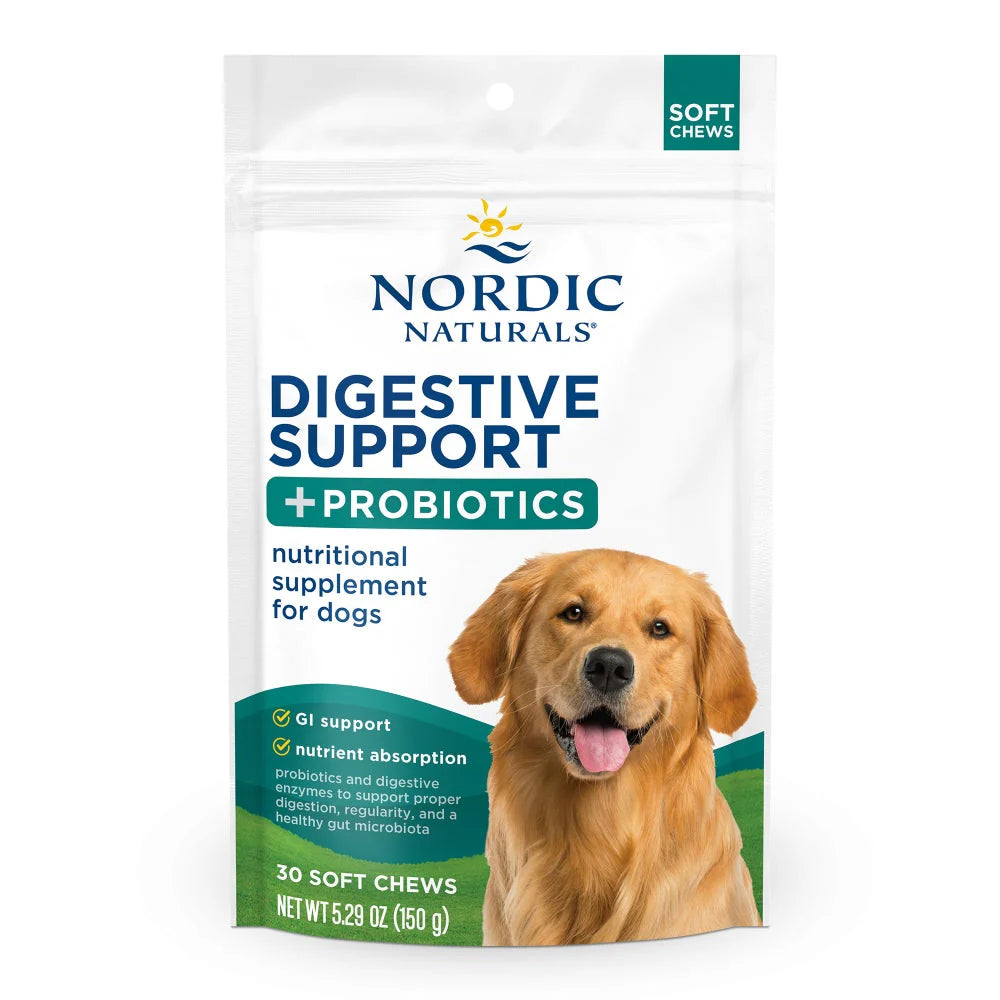 Digestive Support + Probiotics – 30 Soft Chews for Dogs (Bone Broth Flavor)