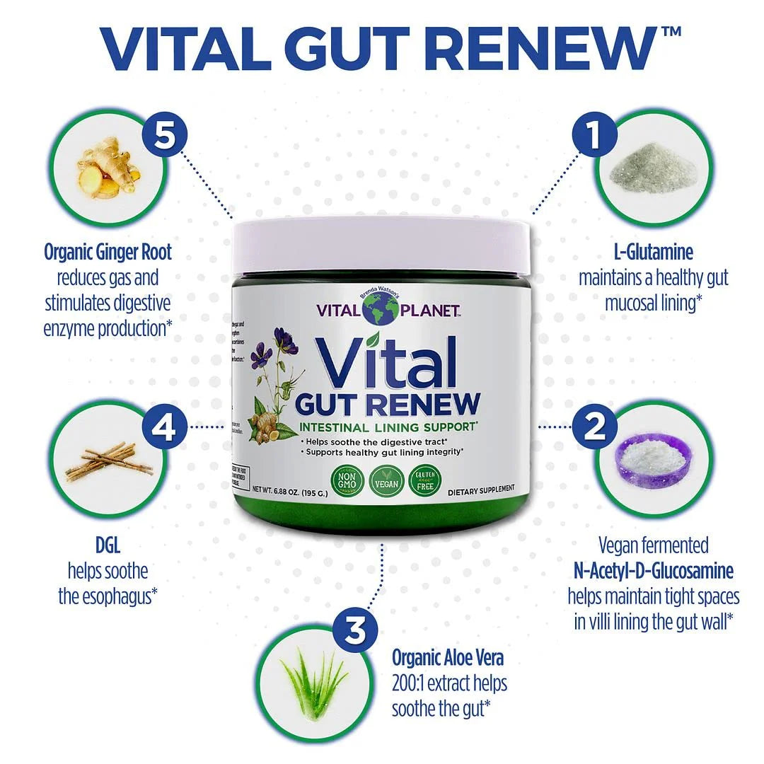 Vital Planet Vital Gut Renew Powder – 6.88 oz (approx. 30 servings)