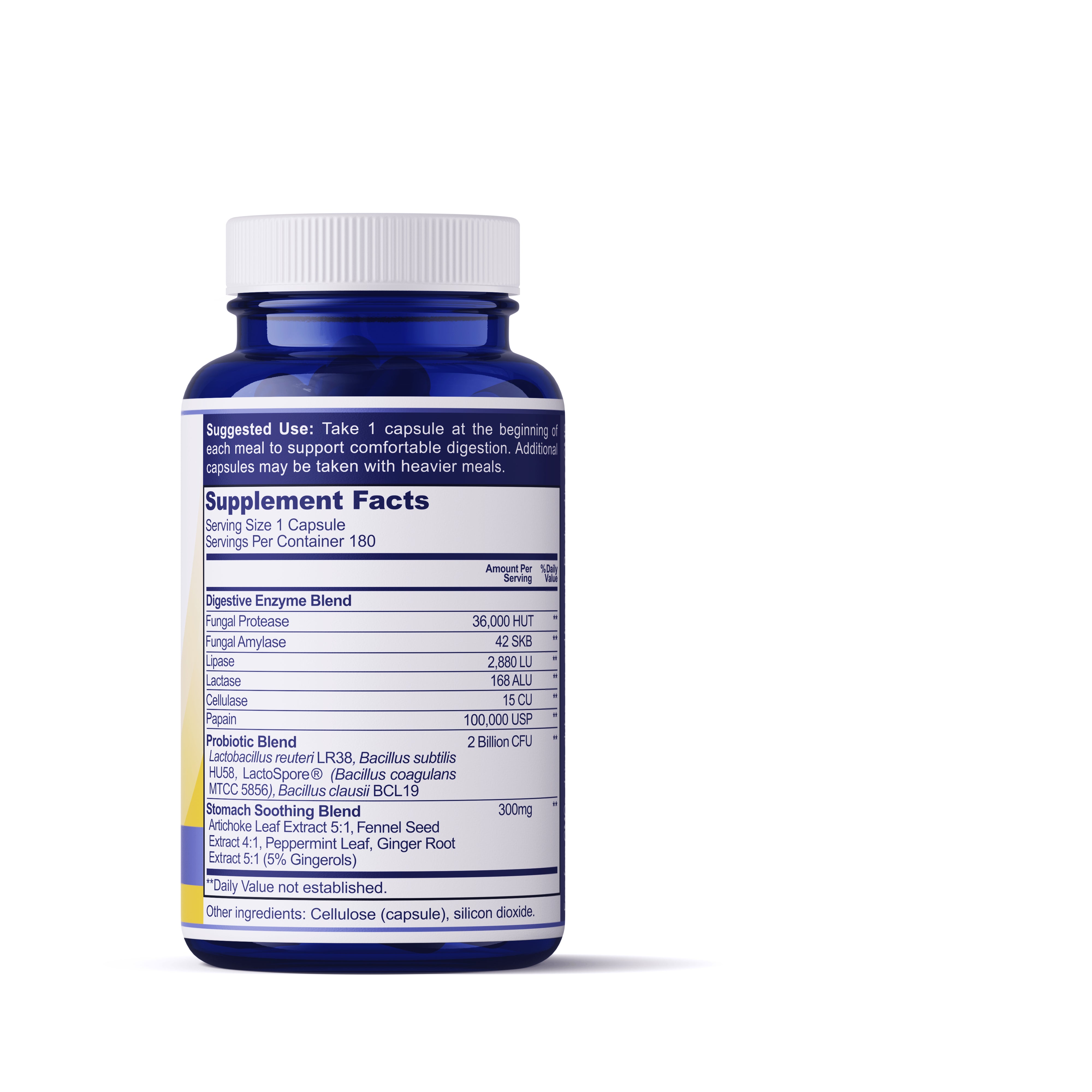 Back On Tract Probiotic & Digestive Enzymes - NEW & IMPROVED FORMULA!