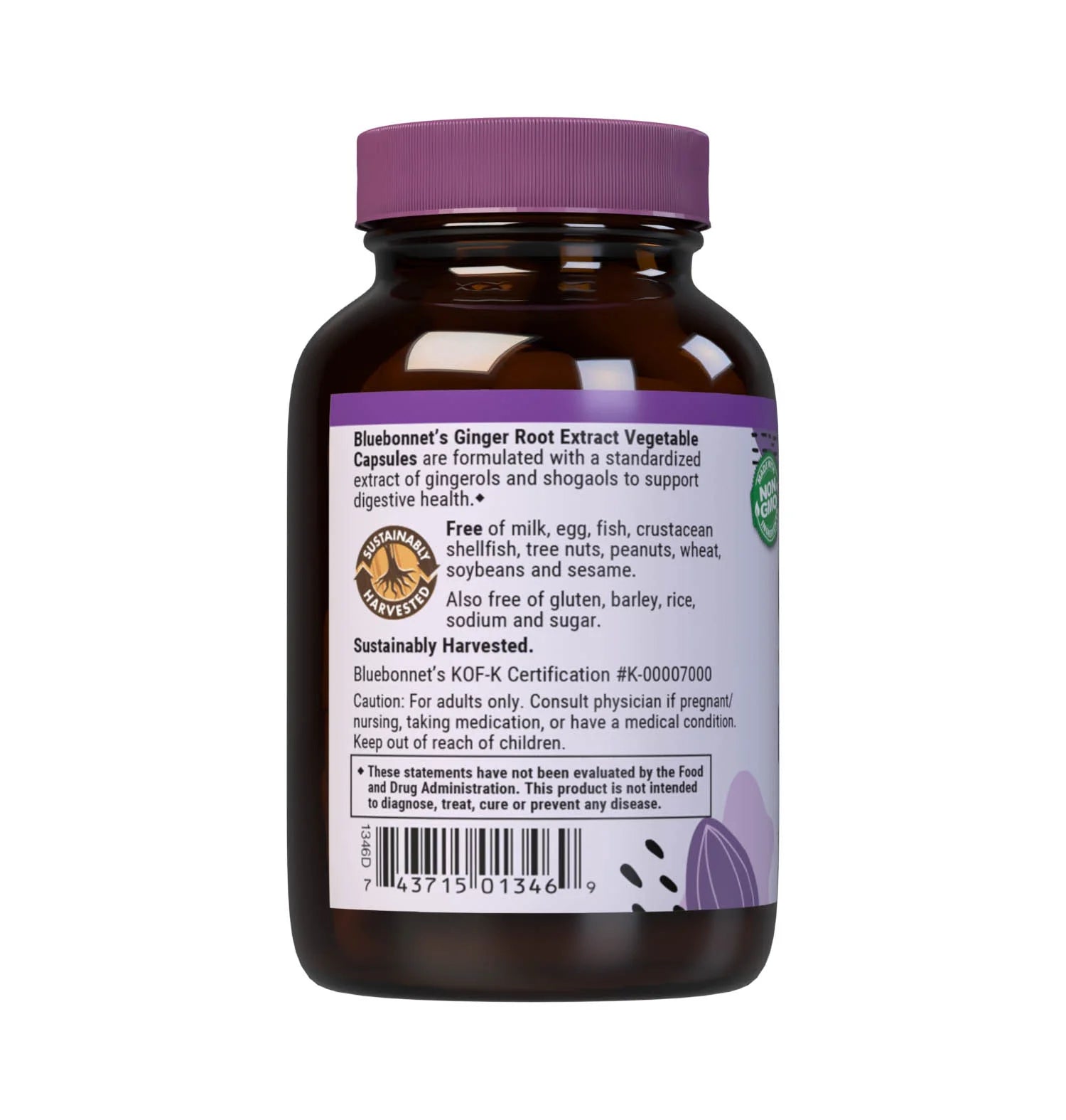 Ginger Root Extract (60 Vegetable Capsules)