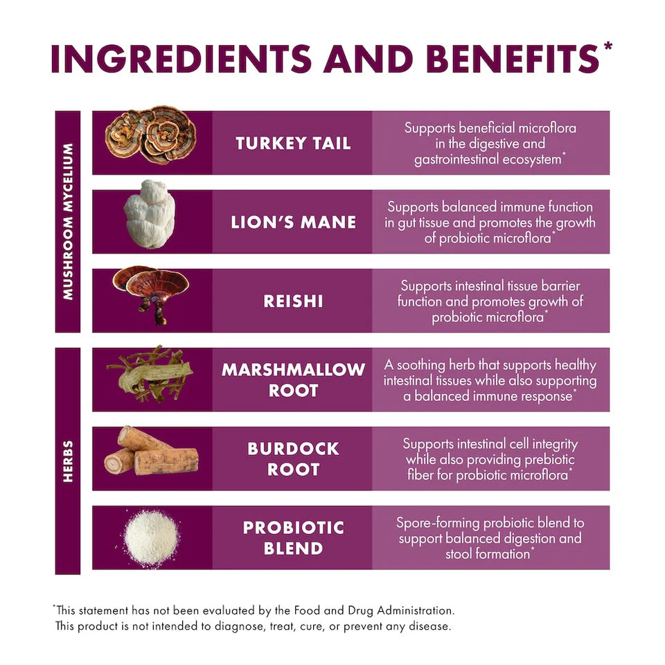 MycoBotanicals® MicroBiome Mushroom Blend Powder