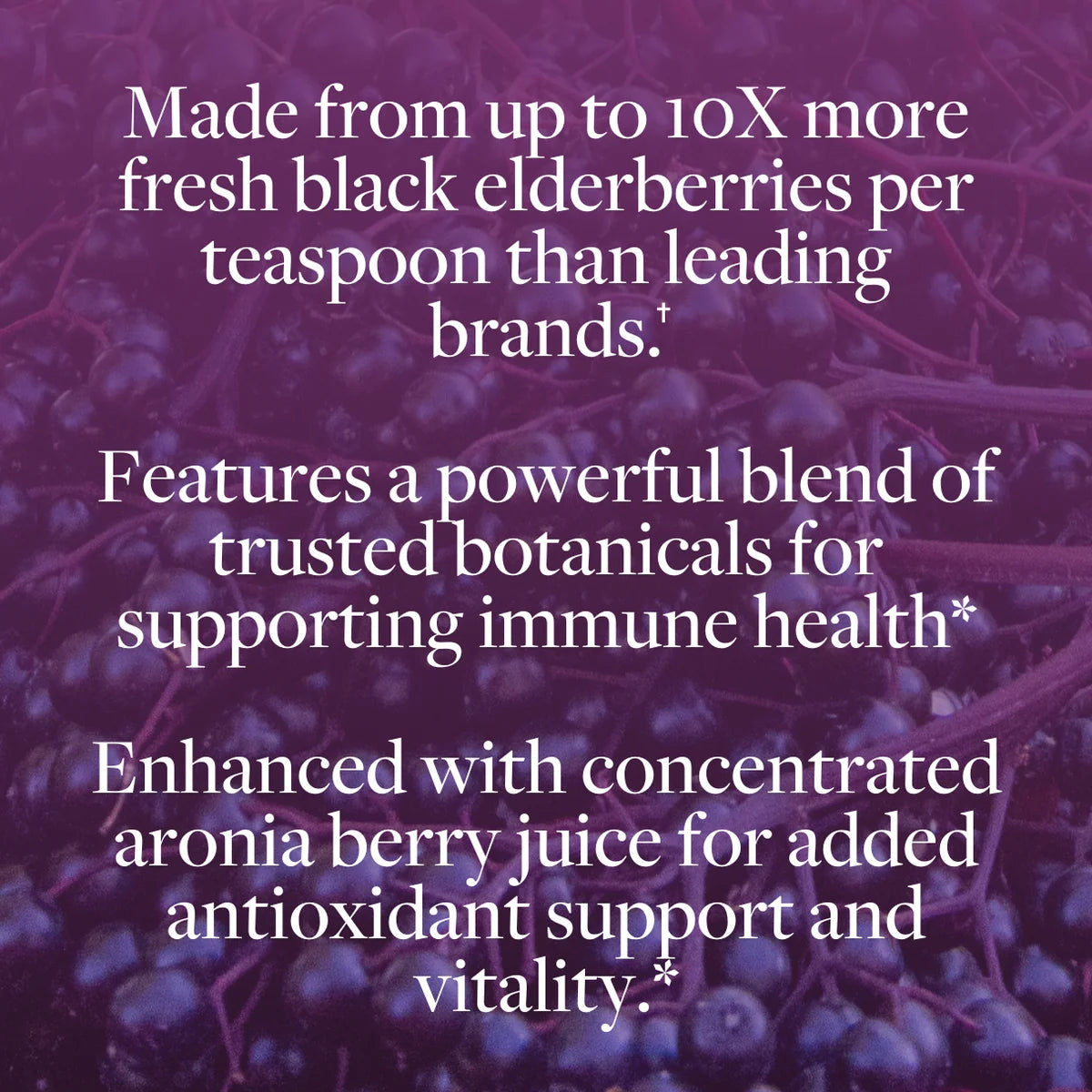 Kokora Extra Strength Black Elderberry Syrup (4 fl oz)