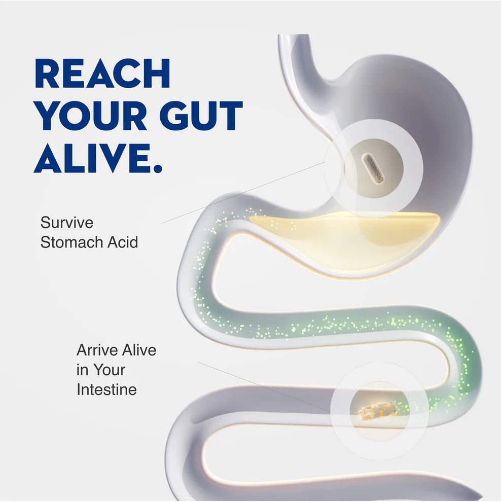 NEW Mycrobiome® Complete Probiotic Postnatal — 30 Capsules